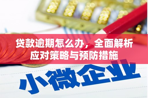 雨花台贷款逾期怎么办，全面解析应对策略与预防措施