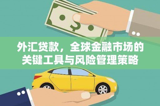 雨花台外汇贷款，全球金融市场的关键工具与风险管理策略