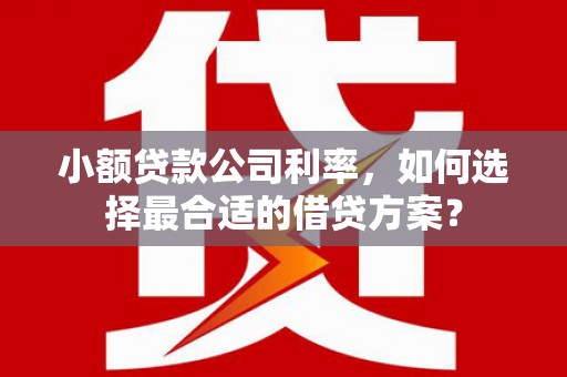 雨花台小额贷款公司利率，如何选择最合适的借贷方案？