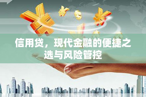 雨花台信用贷，现代金融的便捷之选与风险管控