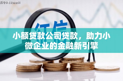 雨花台小额贷款公司贷款，助力小微企业的金融新引擎