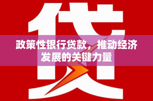 雨花台政策性银行贷款，推动经济发展的关键力量
