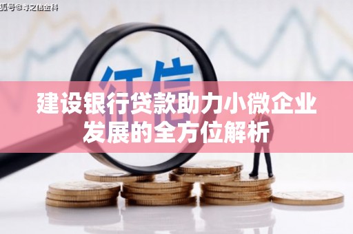 雨花台建设银行贷款助力小微企业发展的全方位解析