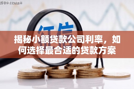 雨花台揭秘小额贷款公司利率，如何选择最合适的贷款方案