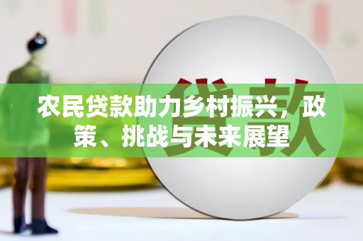 雨花台农民贷款助力乡村振兴，政策、挑战与未来展望