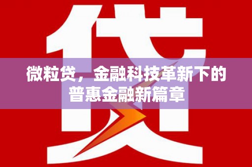 雨花台微粒贷，金融科技革新下的普惠金融新篇章
