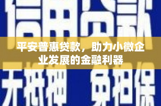 雨花台平安普惠贷款，助力小微企业发展的金融利器
