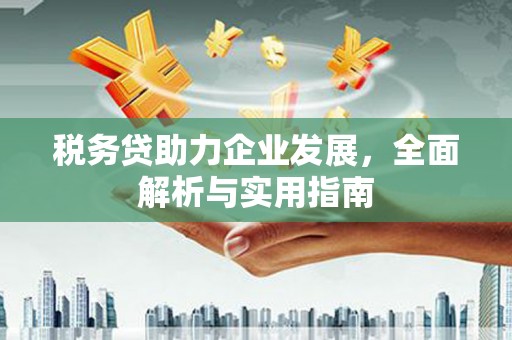雨花台税务贷助力企业发展，全面解析与实用指南