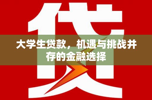 雨花台大学生贷款，机遇与挑战并存的金融选择