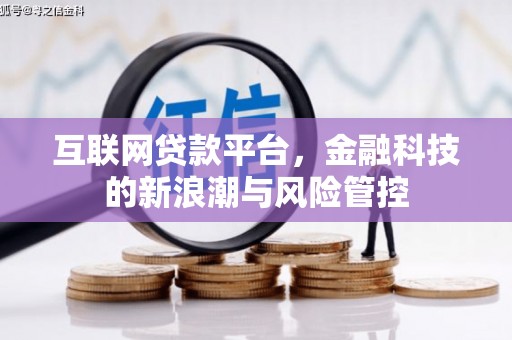 雨花台互联网贷款平台，金融科技的新浪潮与风险管控