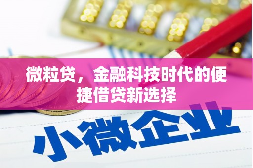 雨花台微粒贷，金融科技时代的便捷借贷新选择