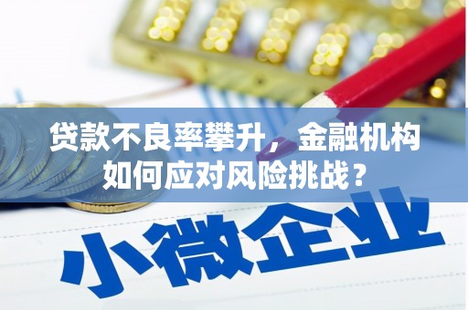 雨花台贷款不良率攀升，金融机构如何应对风险挑战？