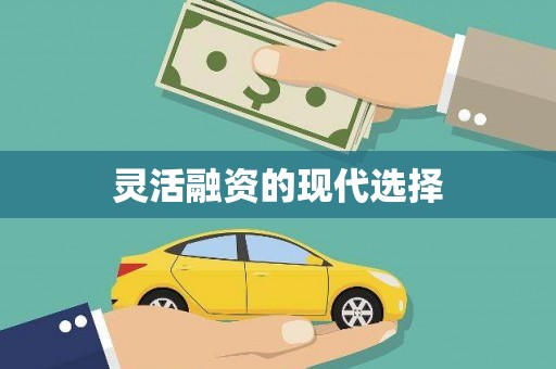 雨花台灵活融资的现代选择