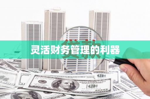 雨花台灵活财务管理的利器