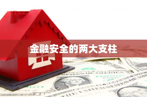雨花台金融安全的两大支柱