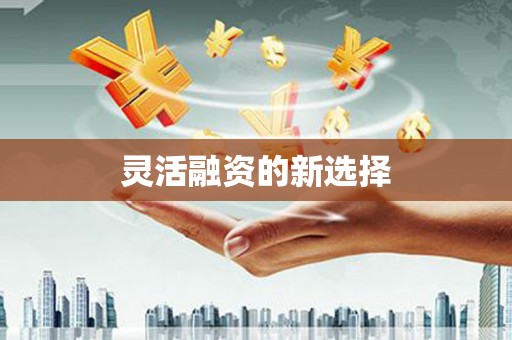 雨花台灵活融资的新选择