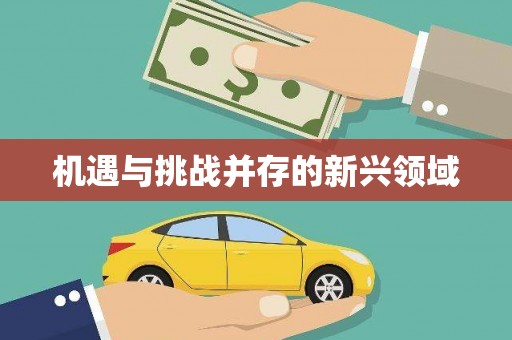 雨花台机遇与挑战并存的新兴领域