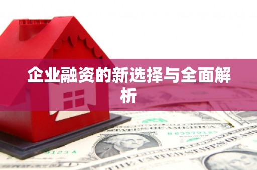 雨花台企业融资的新选择与全面解析
