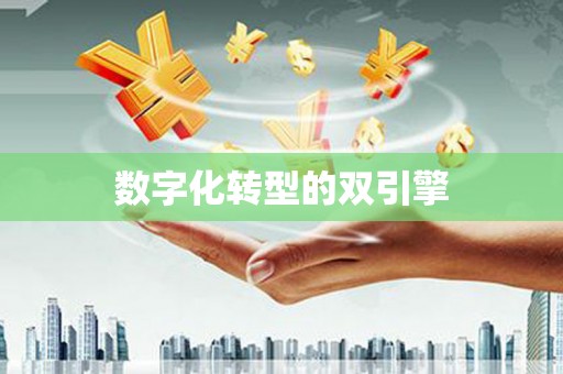雨花台数字化转型的双引擎