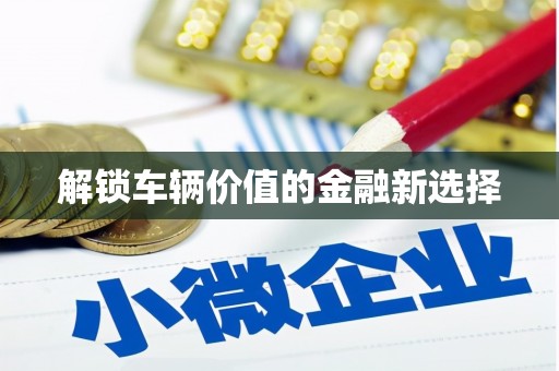 雨花台解锁车辆价值的金融新选择