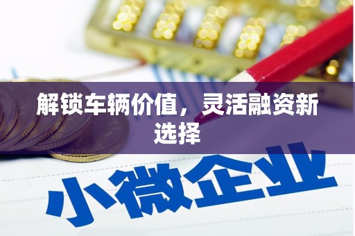 雨花台解锁车辆价值，灵活融资新选择