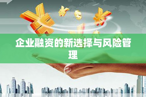 雨花台企业融资的新选择与风险管理