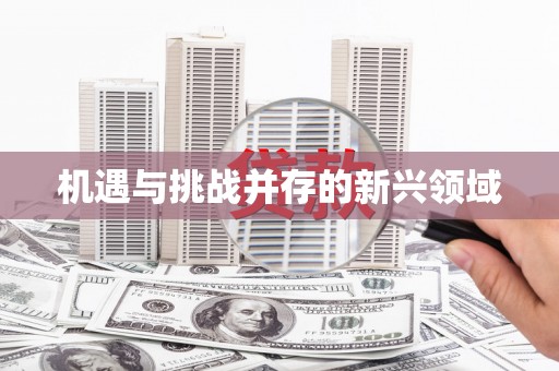 雨花台机遇与挑战并存的新兴领域