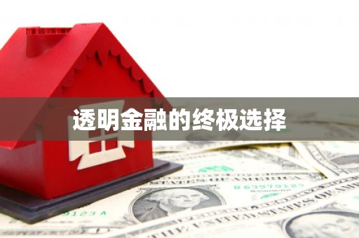 雨花台透明金融的终极选择