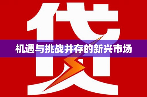 雨花台机遇与挑战并存的新兴市场