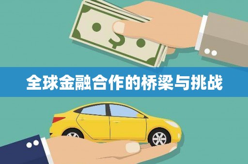 雨花台全球金融合作的桥梁与挑战