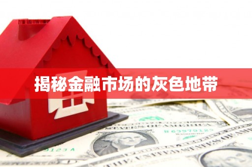雨花台揭秘金融市场的灰色地带