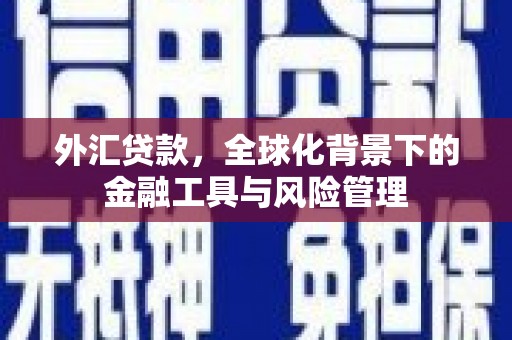 雨花台外汇贷款，全球化背景下的金融工具与风险管理