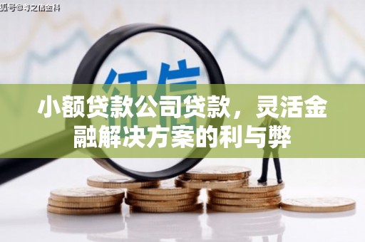 雨花台小额贷款公司贷款，灵活金融解决方案的利与弊